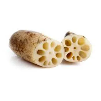 Fresh Lotus Root 